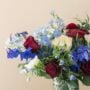 Delphinium Delight